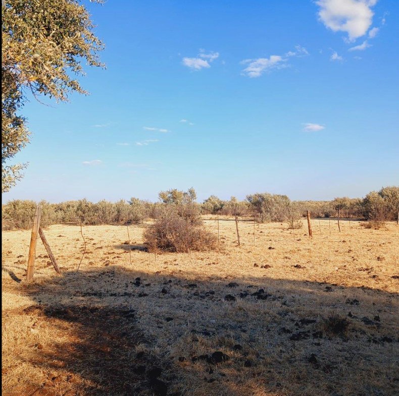 Commercial Property for Sale in Barkly West Rural Northern Cape